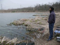 조황조행기 > 낚시점 조황 > 살아나는 안계권..가볼만한소류지. 조황조행기 > 낚시점 조황 > 살아나는  안계권..가볼만한소류지.