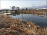 조황조행기 > 낚시점 조황 > 칠곡,성주권 조황및 분석