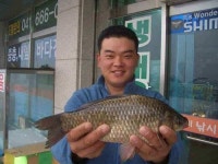 조황조행기 > 낚시점 조황 > 서산. 태안 소류지. 저수지권 조황. 조황조행기 > 낚시점 조황 > 서산. 태안 소류지. 저수지권  조황.