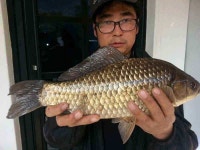 조황조행기 > 낚시점 조황 > 청도권 오부실지의-43