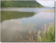 조황조행기 > 낚시점 조황 > 칠곡,성주권(유망한 저수지 탐방)