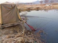 조황조행기 > 낚시점 조황 > 이박사 조황 정보.