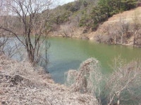 조황조행기 > 낚시점 조황 > 꾼의길가는꾼님들군위로...