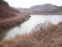 조황조행기 > 낚시점 조황 > 신화2리 턱걸이월척