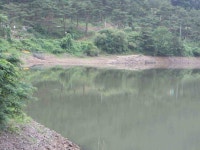 조황조행기 > 낚시점 조황 > 안녕하세요 개인사정때문에 아주오랫만에 인사드리며 허접하지만 조황소식올려드림니다 앞으로는 알찬조황으로... 