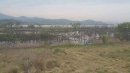 조황조행기 > 낚시점 조황 > 구미 수로권 조황소식~