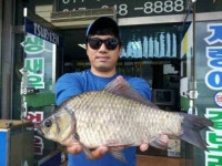 조황조행기 > 낚시점 조황 > 서,태안권 출조시 참고하시기 바랍니다.