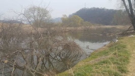 조황조행기 > 낚시점 조황 > 구미 신평수로(구미천)조황소식~