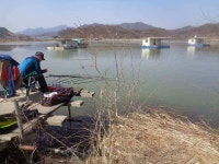 조황조행기 > 낚시점 조황 > 이박사 조황 정보.