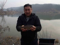 조황조행기 > 낚시점 조황 > 용인및안성권 소류지조황