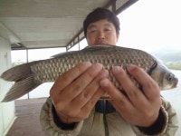 조황조행기 > 낚시점 조황 > [충주]입석.월상.모모부리 조황..