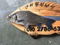 조황조행기 > 낚시점 조황 > 이젠 소류지로 강으로 계곡지로