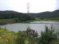 조황조행기 > 낚시점 조황 > 서,태안권 출조시 참고하세요.