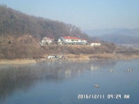조황조행기 > 낚시점 조황 > 충주 탄금호 낚시조황