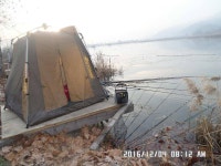 조황조행기 > 낚시점 조황 > 충주 탄금호 낚시조황