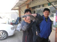 조황조행기 > 낚시점 조황 > 금호강의 대물....