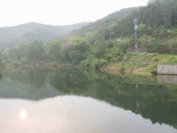 조황조행기 > 낚시점 조황 > 배수기! 발품팔면 월척도 만나볼수있다