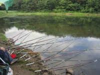 조황조행기 > 낚시점 조황 > 영천ic낚시 조황입니다...