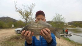 조황조행기 > 낚시점 조황 > 이박사낚시 조황정보..