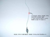 사용기강좌 > 강좌(Tip) > 원봉돌 가지바늘 채비
