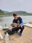 Naver 搜索结果照片 4