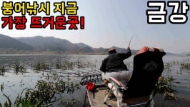 커뮤니티 > 낚시동영상 > 핫플레이스 금강!