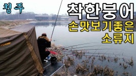 커뮤니티 > 낚시동영상 > 이렇게 착한붕어는 처음본다