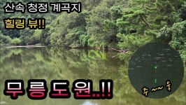 커뮤니티 > 낚시동영상 > 던지면 나온다는 계곡지