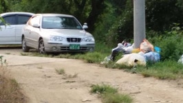 커뮤니티 > 낚시터환경개선 > 경산용성 곡란리 도로가옆 모저수지