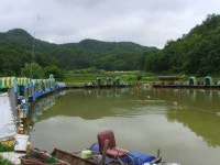 유료터정보 > 유료터조행기 > 감문낚시터에서 괴물만나다