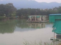 유료터정보 > 유료터조행기 > 청도 용강지낚시터에서 하룻밤을