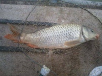 유료터정보 > 유료터조행기 > 청도 용강지낚시터에서 하룻밤을