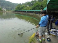 유료터정보 > 유료터조행기 > 2015.06.05 - 파주 삼방낚시터 / 히로시로파파 낚시이야기