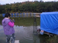 유료터정보 > 유료터조행기 > 경주 동산낚시터에서의 하루