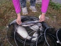 유료터정보 > 유료터조행기 > 경주 동산낚시터에서의 하루