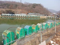 유료터정보 > 유료터조행기 > 오래만에 찾은 낙산낚시터