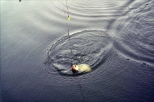 유료터정보 > 유료터조행기 > 경북칠곡 도속지낚시터