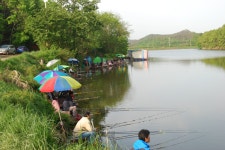 유료터정보 > 유료터조행기 > 대부도 북동낚시터 다녀왔읍니다.