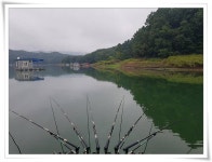 유료터정보 > 유료터조행기 > 충주호 문골낚시터 다녀 왔습니다