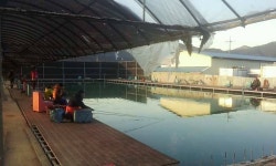 유료터정보 > 유료터조행기 > 오래간만이다!~~동화 낚시터야♬~^^