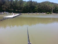 유료터정보 > 유료터조행기 > 경주낚시터(사짜클럽 가족여행)