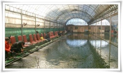 유료터정보 > 유료터조행기 > 차산리 하우스 손맛낚시터 다녀왔습니다