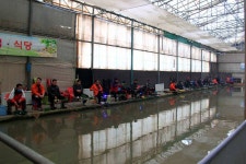 유료터정보 > 유료터조행기 > 푸짐합니다! - 명인낚시터