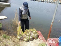 유료터정보 > 유료터조행기 > 충남논산 죽림낚시터 대박 ~~