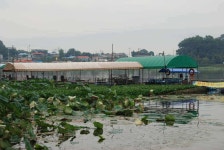 유료터정보 > 유료터조행기 > 봉재지대박사건