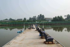 유료터정보 > 유료터조행기 > 본죽낚시터(손맛터)