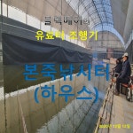 유료터정보 > 유료터조행기 > 블랙베어의 유료터 조행기 - 본죽 하우스 낚시터