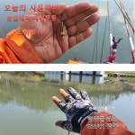 유료터정보 > 유료터조행기 > 블랙베어의 유료터 조행기 - 충북 괴산 박달산 낚시터