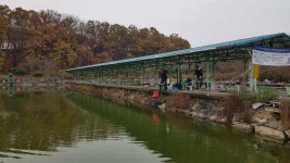 유료터정보 > 유료터조행기 > 아리수 낚시터 출조