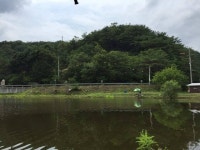 유료터정보 > 유료터조행기 > 오산나그네의 고산낚시터 조행일기